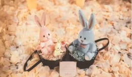 娱乐圈兔吃瓜,兔吃瓜事件揭秘